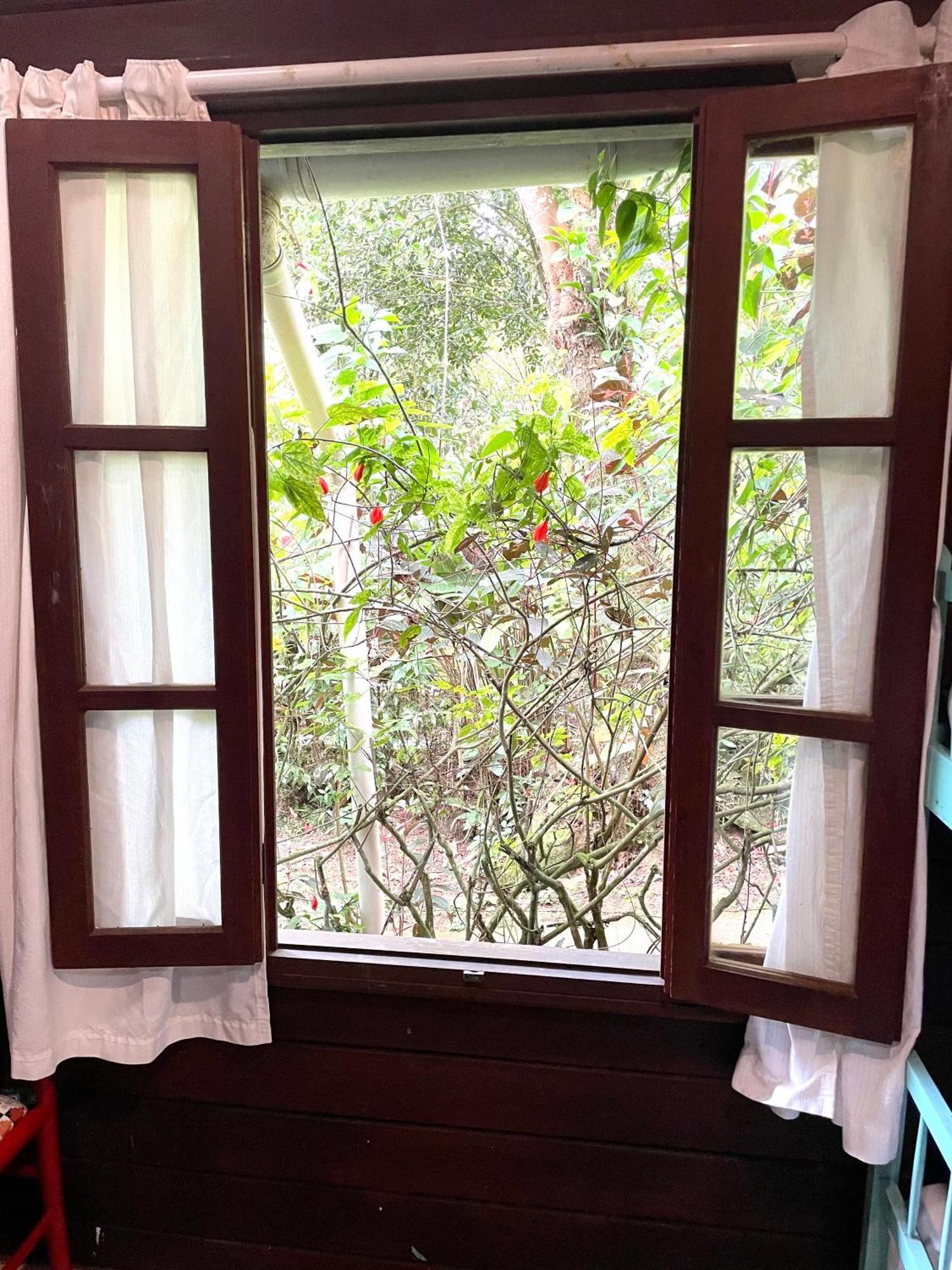 Casa Selva - Vila Do Abraao - Ilha Grande Exteriér fotografie