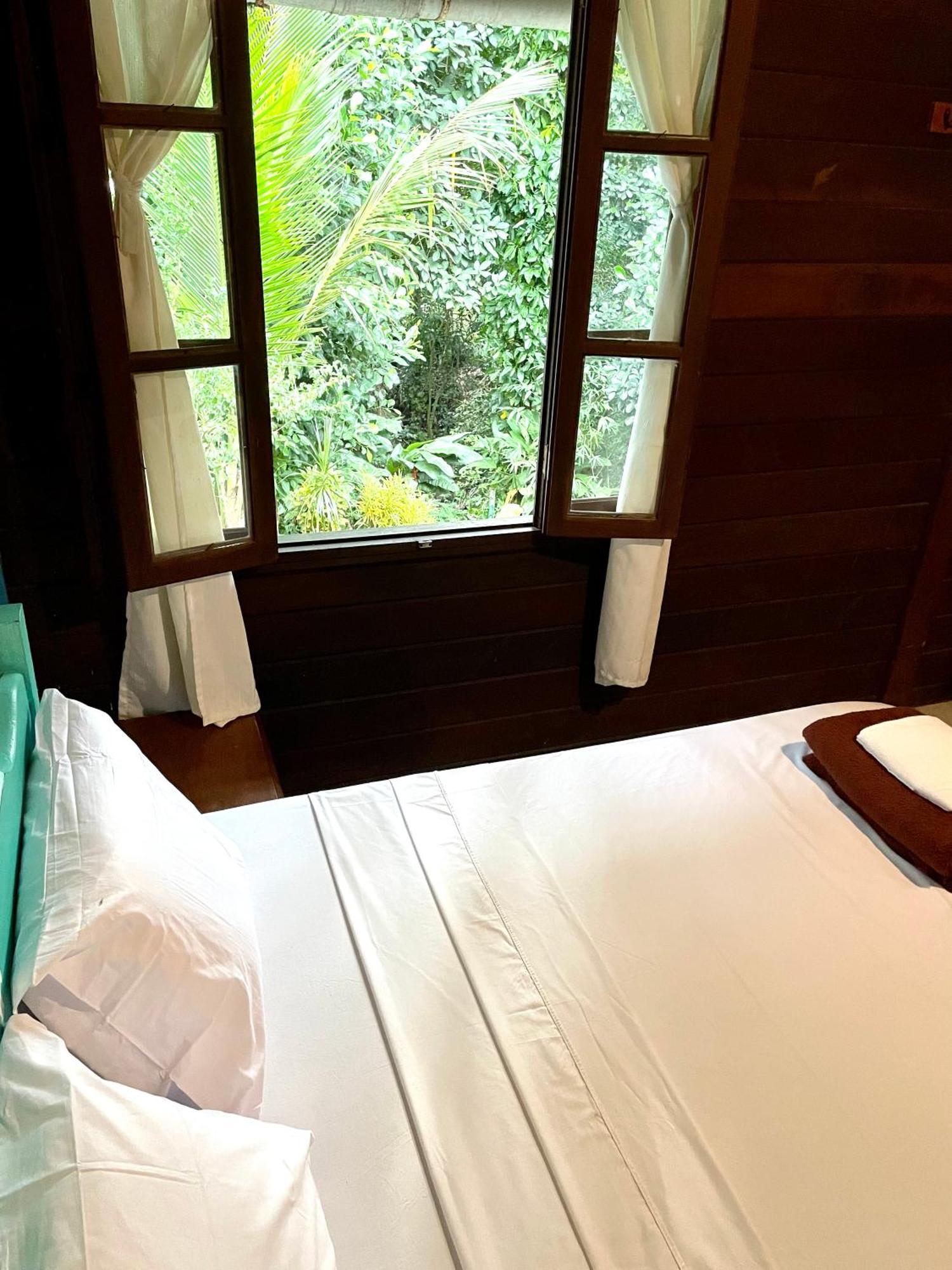 Casa Selva - Vila Do Abraao - Ilha Grande Exteriér fotografie
